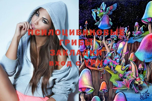 ГАЛЛЮЦИНОГЕННЫЕ ГРИБЫ Пересвет