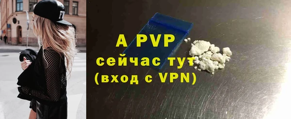ГАЛЛЮЦИНОГЕННЫЕ ГРИБЫ Пересвет