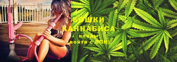 ГАЛЛЮЦИНОГЕННЫЕ ГРИБЫ Пересвет