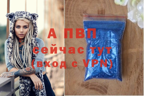 ГАЛЛЮЦИНОГЕННЫЕ ГРИБЫ Пересвет