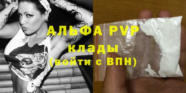 ГАЛЛЮЦИНОГЕННЫЕ ГРИБЫ Пересвет