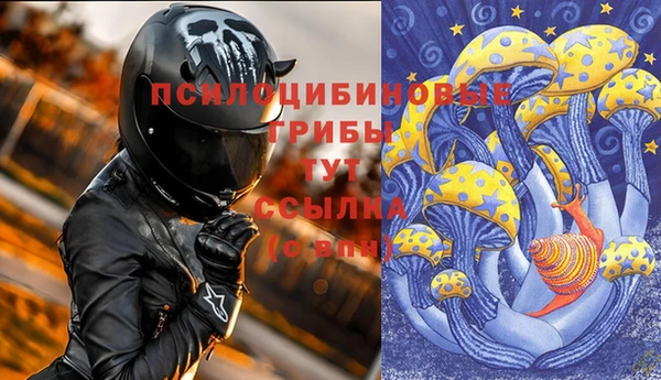ГАЛЛЮЦИНОГЕННЫЕ ГРИБЫ Пересвет