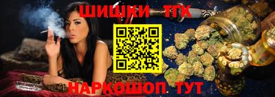 мдпв Кингисепп