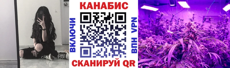 Марихуана план  Пыть-Ях 